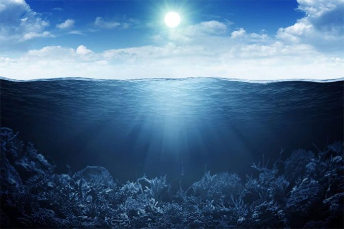 The Southern Ocean is referred to as the largest 'carbon sink' on Earth.