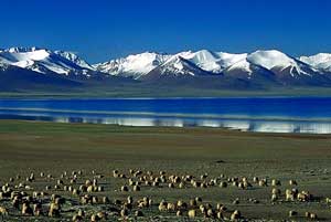 Namtso Lake (Photo: photosbymartin)