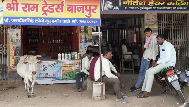 Many people and animals seek refuge from the heat in the shade