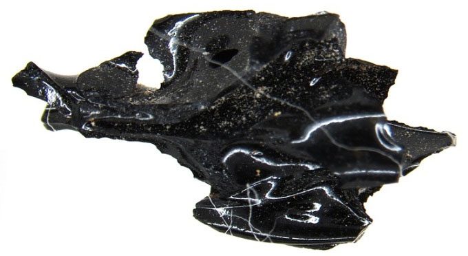 Fragment of a human brain vitrified within the skull of a man in Herculaneum.