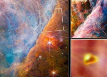nasa discovers signs of life on objects visible by optical means 128307