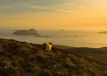 national increase 2 billion dong for people moving house to places with beautiful scenery like hollywood movies 128208