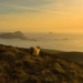 national increase 2 billion dong for people moving house to places with beautiful scenery like hollywood movies 128208