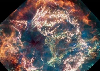 new discovery about the explosion of supernova tin from james webb 126855