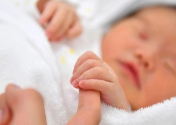 new discovery on the language ability of children in the first years 127987