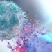 new methods helping recover cancer fighting cells 126876