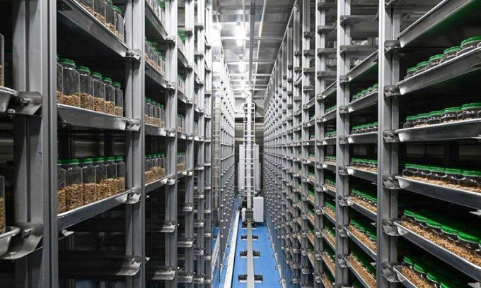 Interior view of the Tianjin Agricultural Seed Resource Bank.