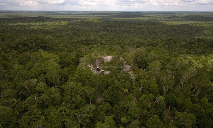 A Maya temple at the archaeological site of El Mirador in the jungle of Guatemala.
