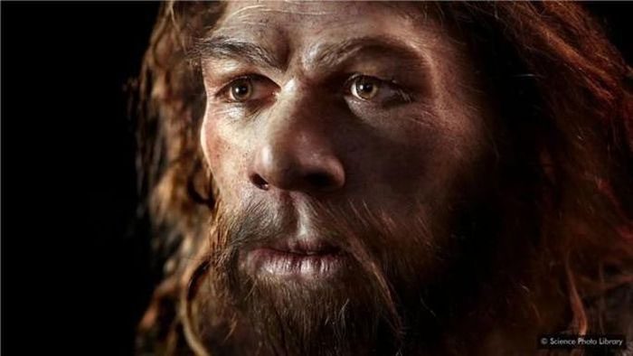 A high, straight nasal bridge may be a legacy from another human species