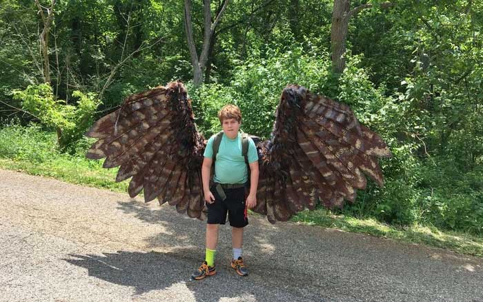 If humans could fly, what impact would this have on other species?
