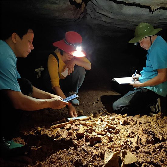 Scientists studying ancient bone fossils.