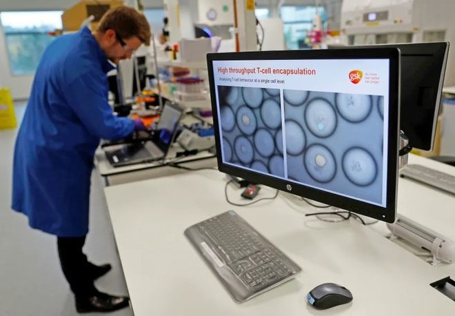 Scientists are exploring cancer treatment using microorganisms found in mouse skin.