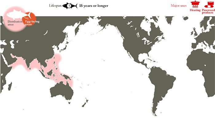 Distribution of Longtail Tuna