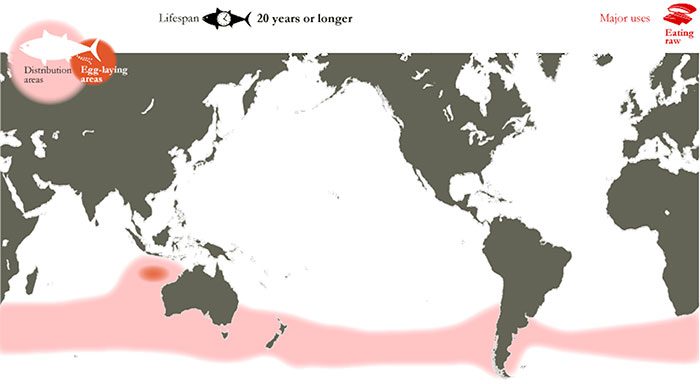Distribution of Southern Bluefin Tuna