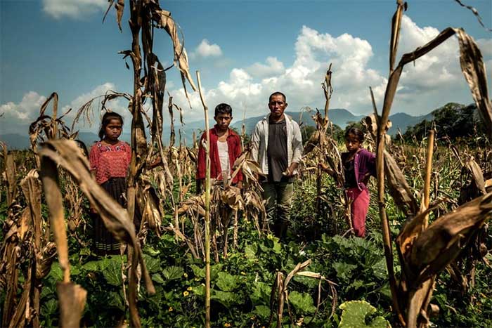 Carlos Tiul, an indigenous farmer in Guatemala suffering from corn crop failure, with his children