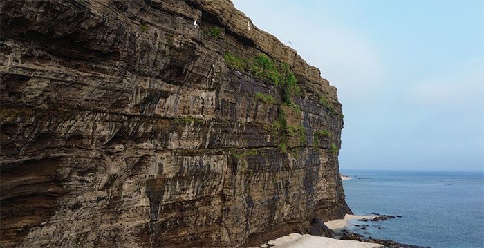 The cliff at Cau Cave is a nesting site for many seabird species.