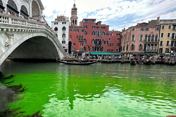The water at the Grand Canal near the Rialto Bridge in Venice turned green on May 28.