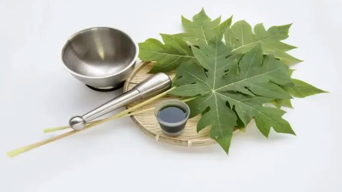 Papaya leaf juice