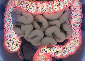 nutrition expert only ways to feed intestinal bacteria and prevent diseases 128940