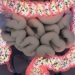 nutrition expert only ways to feed intestinal bacteria and prevent diseases 128940