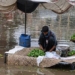 old earth floor 1 do c will increase 15 heavy rain events 128395