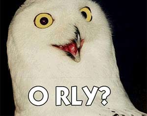 owl virus