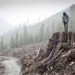physicists warn earth could fall into chaos 128203