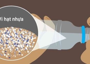 plastic can cause hormonal disruption how to prevent it 126862