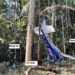 position seat help 4 children survive plane crash in amazon rainforest 128035