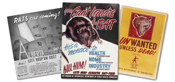 Posters promoting mouse extermination in Alberta.