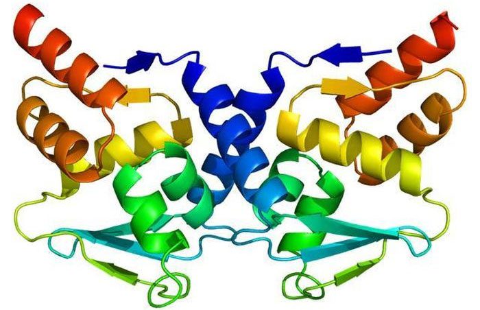 BCL6, a mutated protein that cancer depends on for growth.