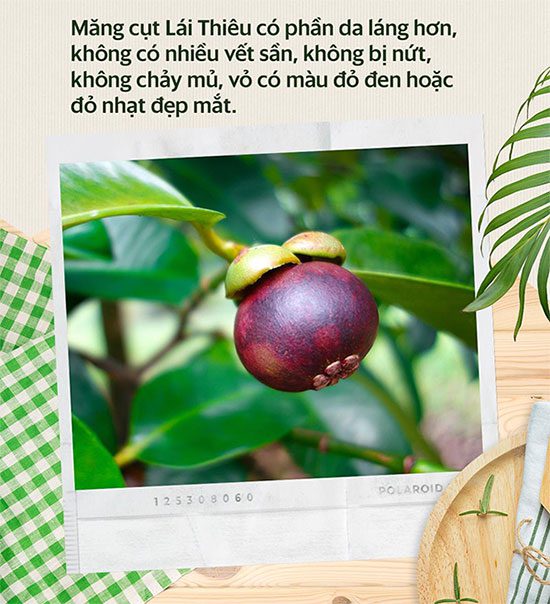 Mangosteen - the Super Fruit