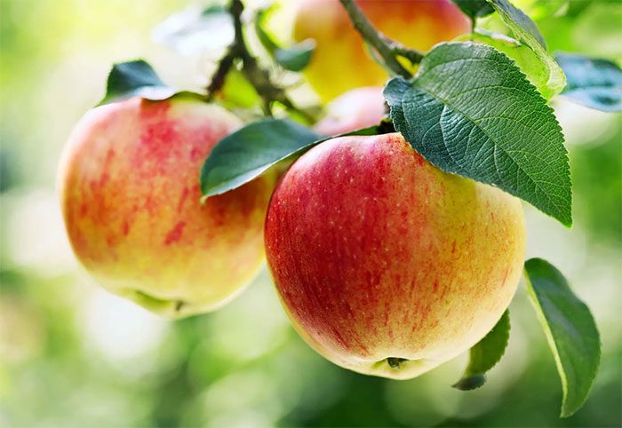Apples help with weight loss, combat fatigue, and relieve sore throat.