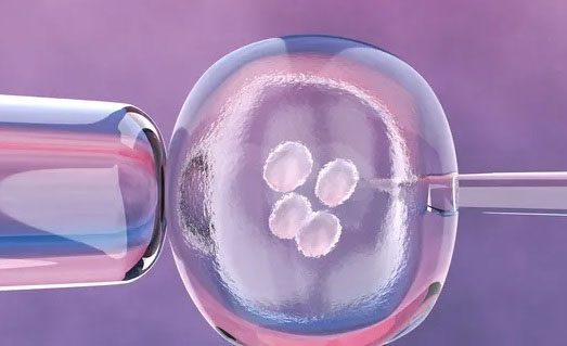 AI software will increase the chances of successful pregnancy.
