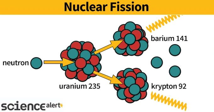 The nuclear fission process.