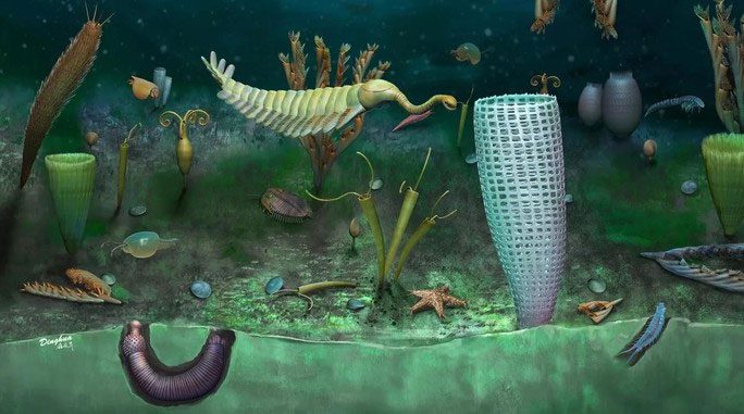 Graphic depicting Ordovician mollusk monsters