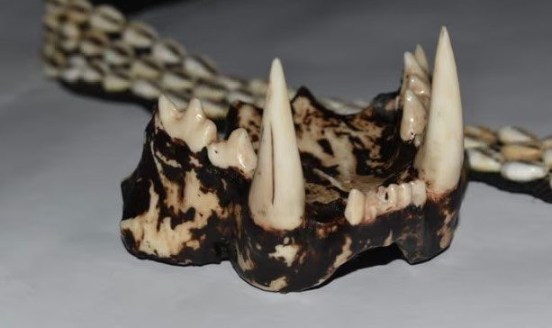 A 3D printed leopard tooth product.