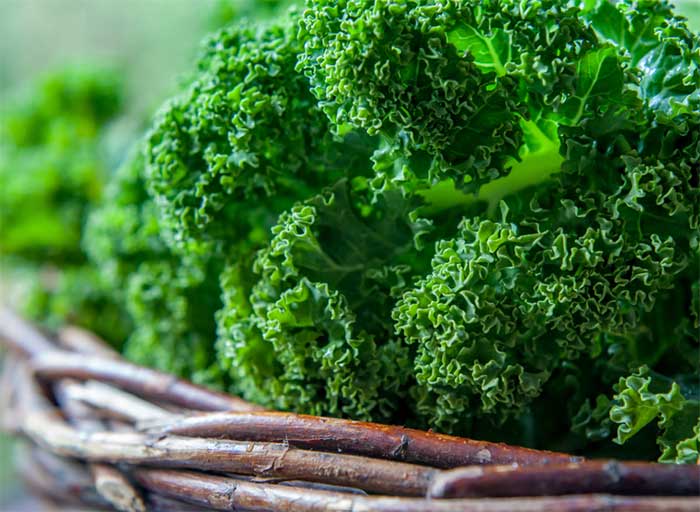 Leafy Greens