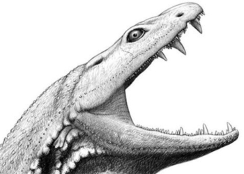rebirth of the non human satire monster not loosely older than dinosaur 127450