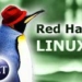 red hat and a number of security issues in linux 5857
