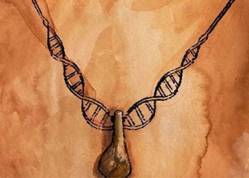 research dna to find the identifier of the old time series 127326