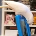 research new breeds also like to call video when lonely 127174