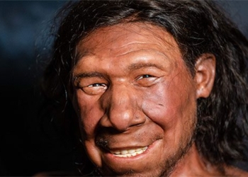 research shock if you bring this beautiful feature you can carry the dna of another human species 127402