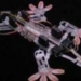 robot strike 5926
