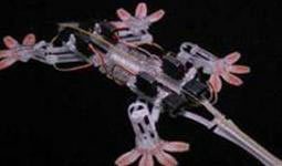 robotStickybot