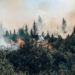 run wild canada releases over 1 ton co2 128971