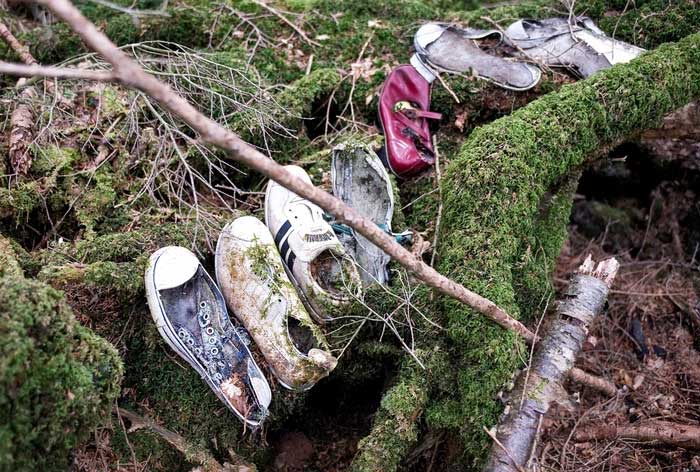 rung aokigahara 3
