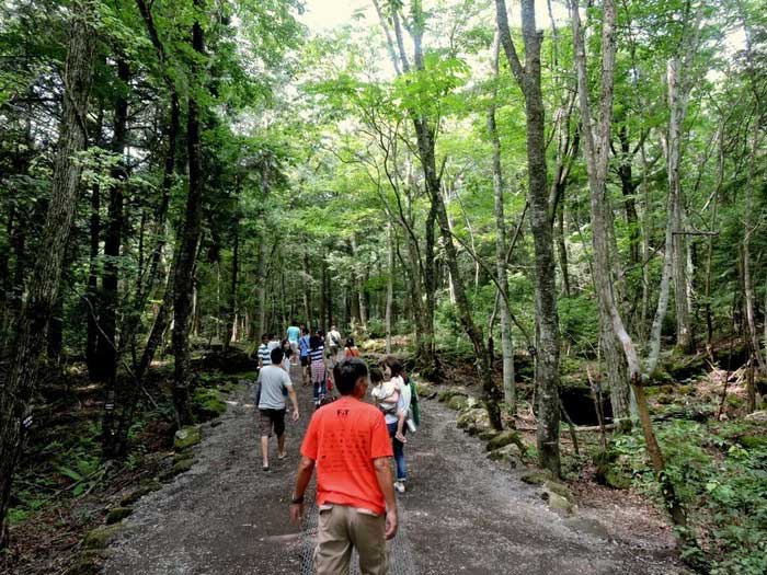 rung aokigahara 5