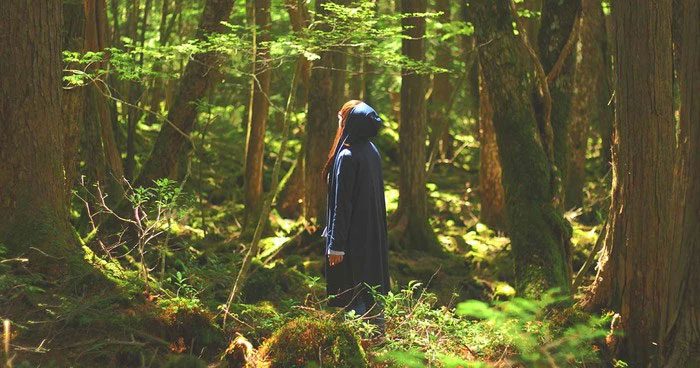 rung aokigahara
