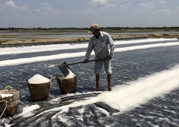 salt water technology tho thanh salt 127526